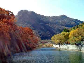 新澳天天开奖资料大全旅游团，鱼腥草提取物